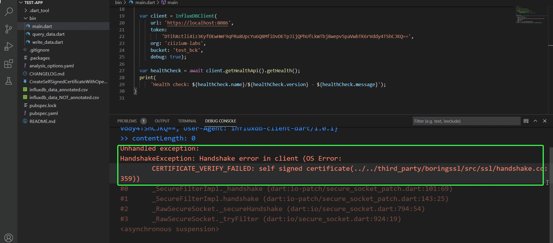 Self-signed certificate error