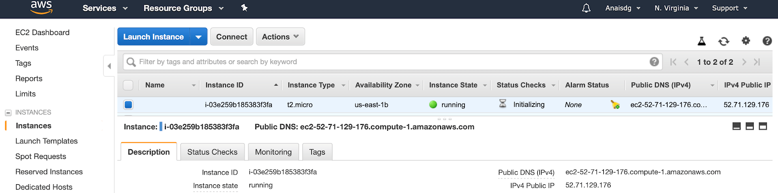 running influxdb on aws with cloud formation - public ip screenshot